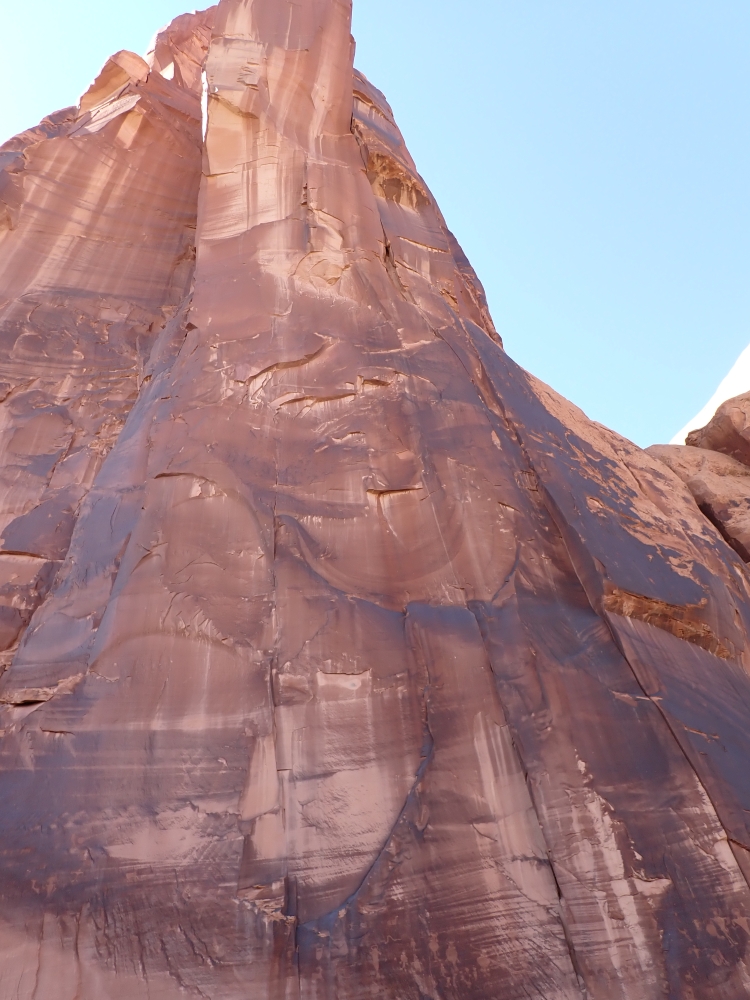 Potash Petroglyphs and Dinosaur Tracks
