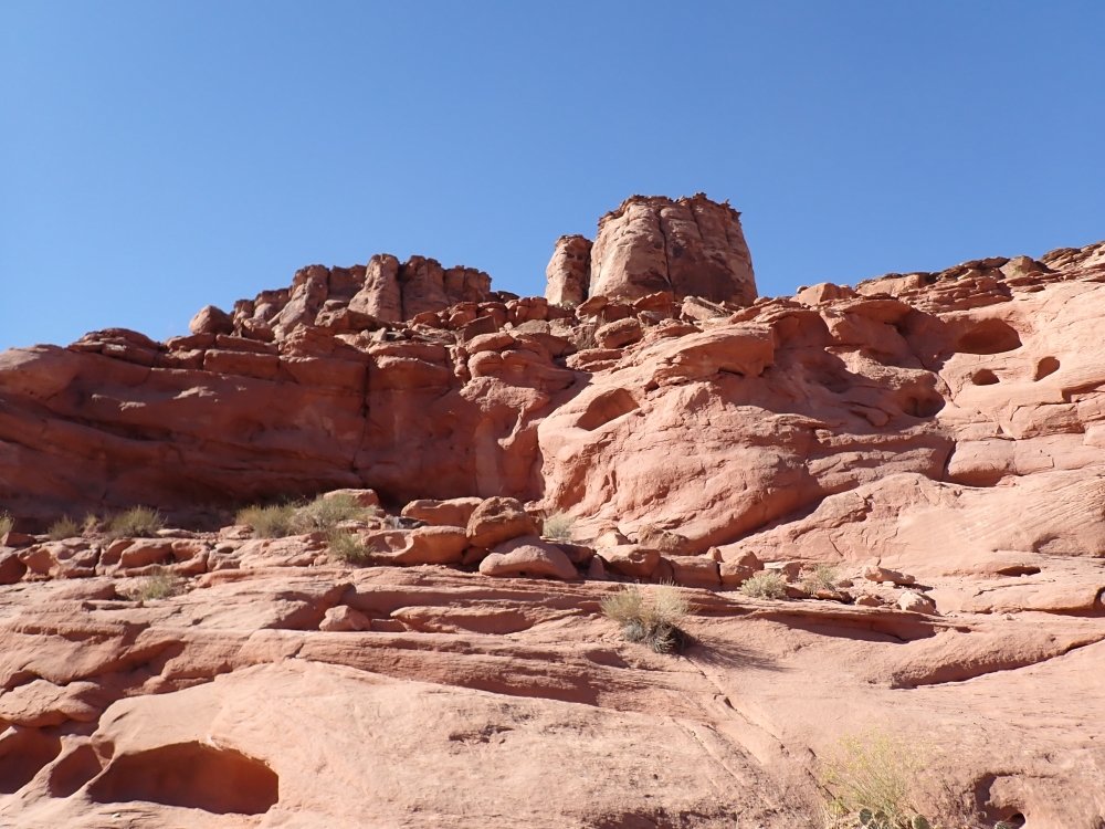 Potash Petroglyphs and Dinosaur Tracks
