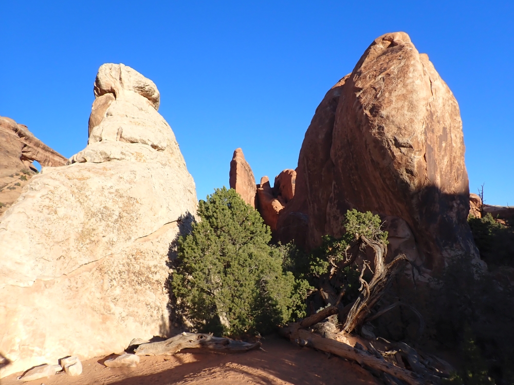 Arches National Park